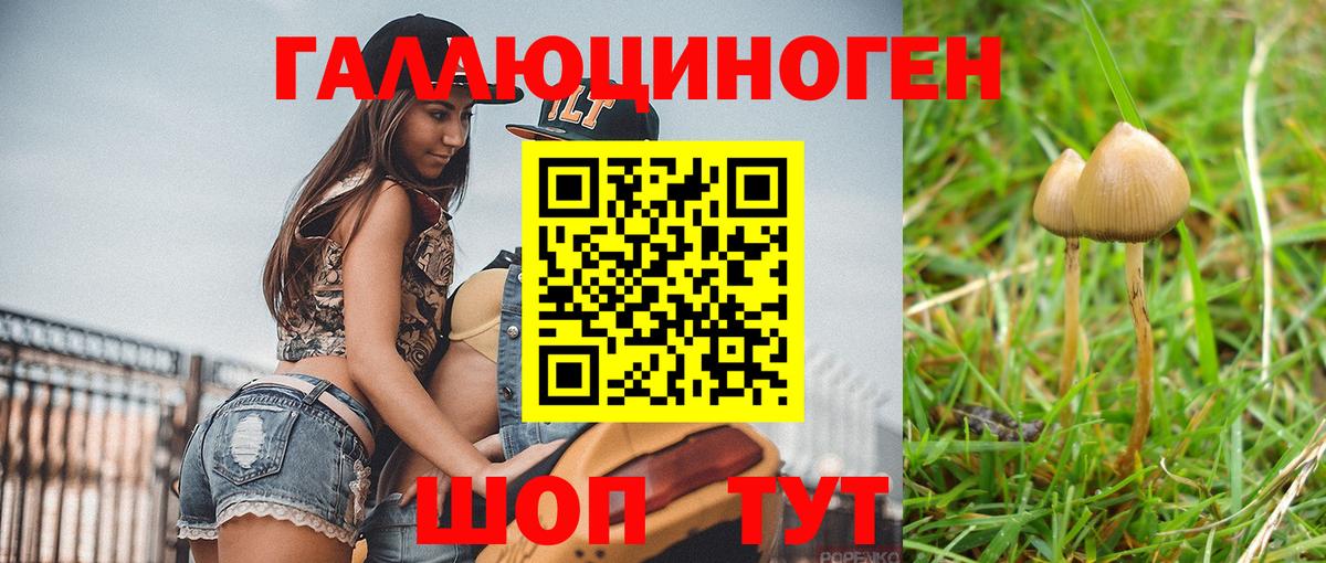 Сергиев Посад  Псилоцибиновые грибы прущие грибы  Вход с VPN  Псилоцибиновые грибы прущие грибы 